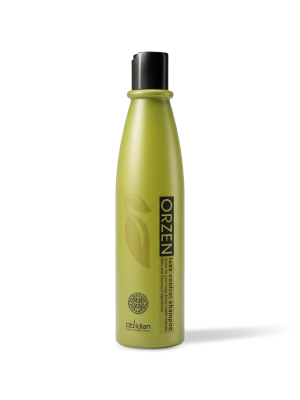 Dầu gội hỗ trợ giảm rụng tóc Orzen Loss Control Shampoo l