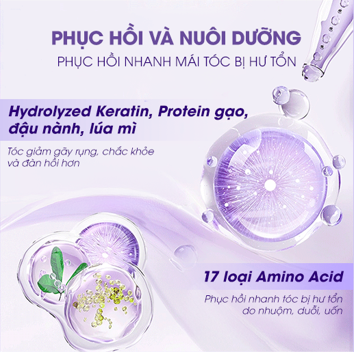 Thành phần có trong kem hấp khô obsidian giúp phục hồi và nuôi dưỡng mái tóc bị hư tổn