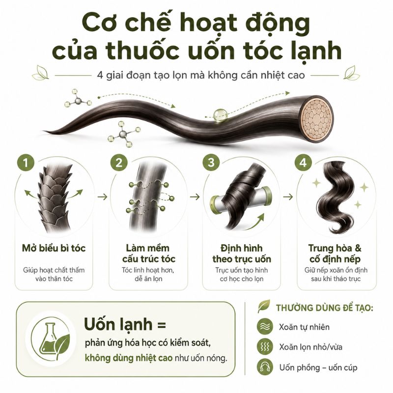 Thuốc uốn tóc lạnh (2)