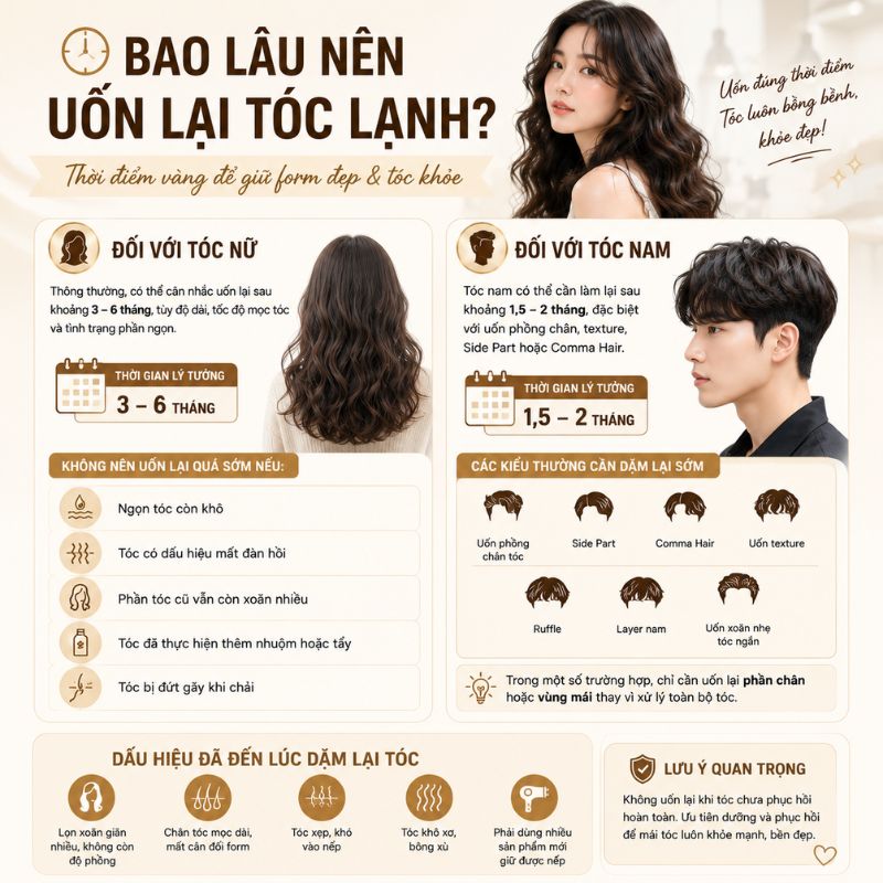 Bao lâu nên đi uốn lạnh lại một lần